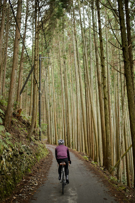 11:25am - taken while moving at 10 km/h -- Kyoto, Japan -- Copyright 2015 Jeffrey Friedl, http://regex.info/blog/