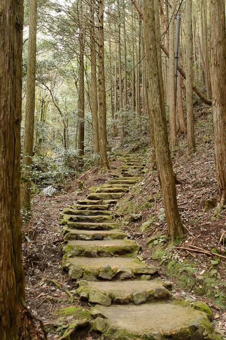 Now on Foot ここでは足で行く -- Kuuya Shrine (空也神社) -- Kyoto, Japan -- Copyright 2015 Jeffrey Friedl, http://regex.info/blog/