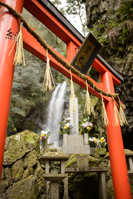Looking Back on the way out -- Kuuya Shrine (空也神社) -- Kyoto, Japan -- Copyright 2015 Jeffrey Friedl, http://regex.info/blog/