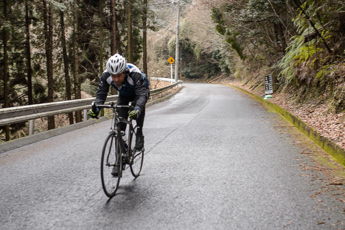 Gorm The least in focus... sorry Gorm -- Kyoto, Japan -- Copyright 2015 Jeffrey Friedl, http://regex.info/blog/
