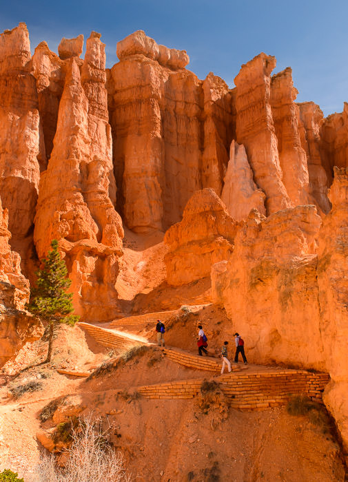 This Morning hike in Bryce Canyon National Park 今朝： ブライスキャニオン 国立公園 のハイキング -- Bryce, Utah, United States -- Copyright 2015 Jeffrey Friedl, http://regex.info/blog/