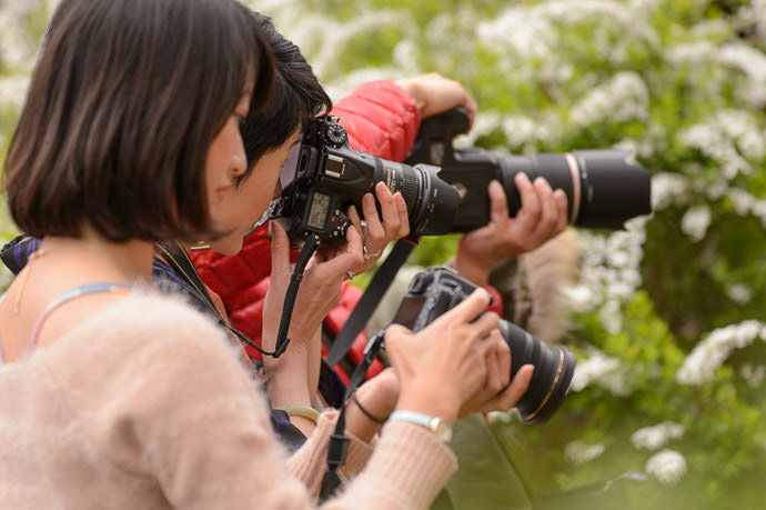 Shooting Joanne -- Haradanien (原谷苑) -- Kyoto, Japan -- Copyright 2015 Jeffrey Friedl, http://regex.info/blog/