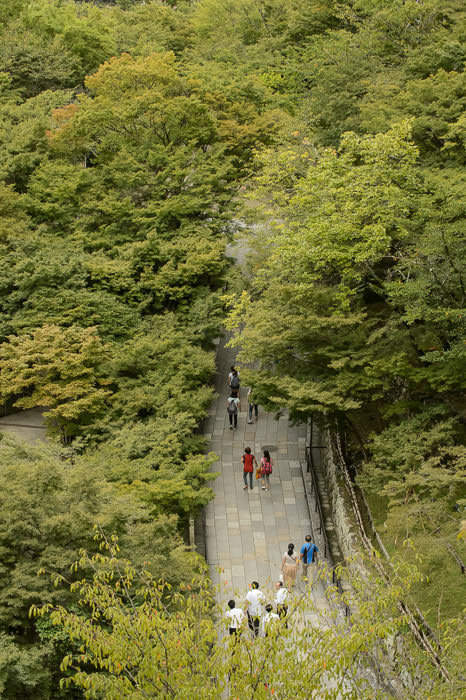 Down Below -- Kiyomizu Temple (清水寺) -- Kyoto, Japan -- Copyright 2015 Jeffrey Friedl, http://regex.info/blog/ -- This photo is licensed to the public under the Creative Commons Attribution-NonCommercial 4.0 International License http://creativecommons.org/licenses/by-nc/4.0/ (non-commercial use is freely allowed if proper attribution is given, including a link back to this page on http://regex.info/ when used online)