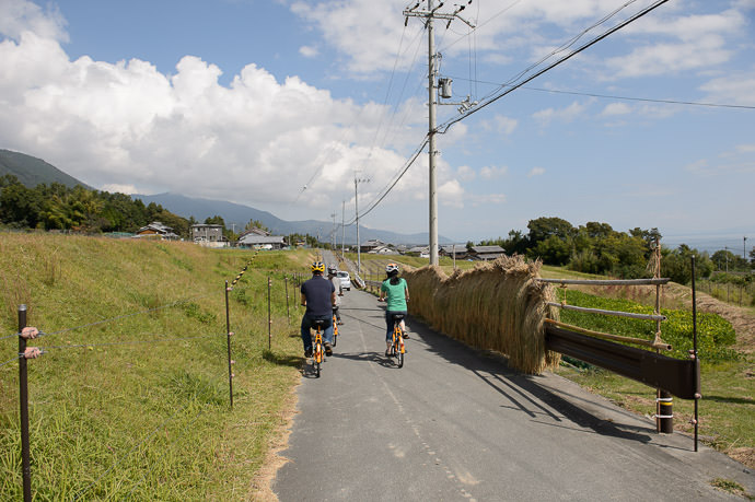 Still Going Up passing by rice hung to dry -- Otsu, Shiga, Japan -- Copyright 2015 Jeffrey Friedl, http://regex.info/blog/