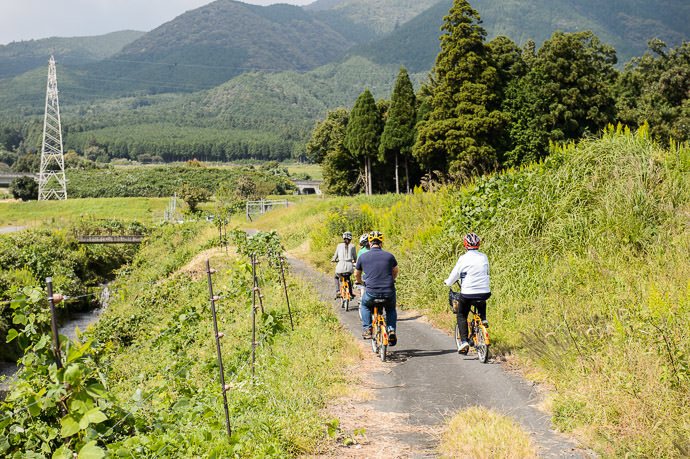 Not Your Typical Tourist Activity -- Otsu, Shiga, Japan -- Copyright 2015 Jeffrey Friedl, http://regex.info/blog/