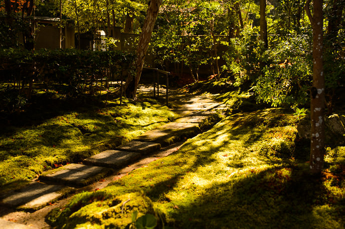 Rich Moss -- Tenjuan Temple (天授庵) -- Kyoto, Japan -- Copyright 2015 Jeffrey Friedl, http://regex.info/blog/ -- This photo is licensed to the public under the Creative Commons Attribution-NonCommercial 4.0 International License http://creativecommons.org/licenses/by-nc/4.0/ (non-commercial use is freely allowed if proper attribution is given, including a link back to this page on http://regex.info/ when used online)