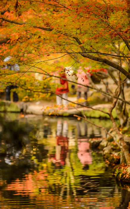 desktop background image of a garden scene at the Tenjuan Temple (天授庵), Kyoto Japan -- Tenjuan Temple (天授庵) -- Copyright 2015 Jeffrey Friedl, http://regex.info/blog/ -- This photo is licensed to the public under the Creative Commons Attribution-NonCommercial 4.0 International License http://creativecommons.org/licenses/by-nc/4.0/ (non-commercial use is freely allowed if proper attribution is given, including a link back to this page on http://regex.info/ when used online)