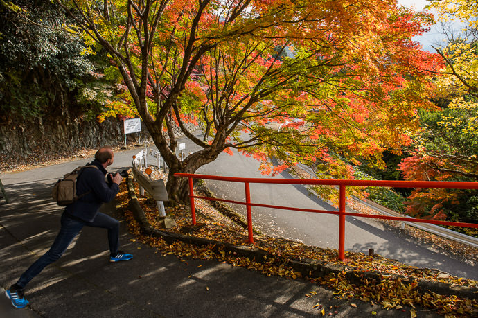 Above the Parking Lot Adrian steadies himself for a shot -- Eigenji Temple (永源寺） -- Higashiomi, Shiga, Japan -- Copyright 2016 Jeffrey Friedl, http://regex.info/blog/