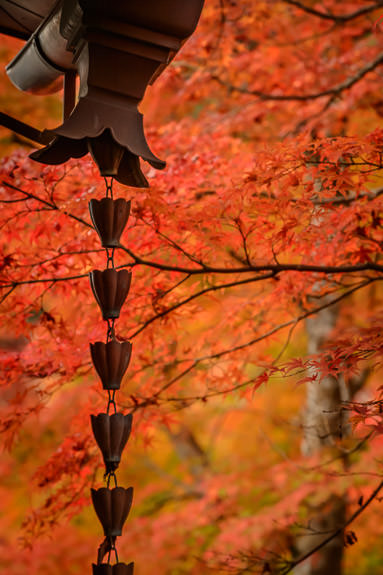 A Pretty Picture a kusaridoi at the Eigenji Temple (永源寺), in Shiga Japan -- Eigenji Temple (永源寺) -- Higashiomi, Shiga, Japan -- Copyright 2016 Jeffrey Friedl, http://regex.info/blog/ -- This photo is licensed to the public under the Creative Commons Attribution-NonCommercial 4.0 International License http://creativecommons.org/licenses/by-nc/4.0/ (non-commercial use is freely allowed if proper attribution is given, including a link back to this page on http://regex.info/ when used online)