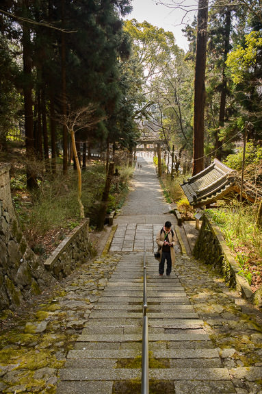 Looking Back -- Shiio Shrine (椎尾神社) -- Yamazaki, Osaka, Japan -- Copyright 2017 Jeffrey Friedl, http://regex.info/blog/