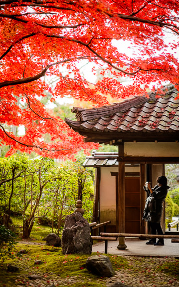 desktop background image of the garden at the Eisho-in Temple (栄摂院) in Kyoto, Japan, during the height of fall-foliage colors. -- Eisho-in Temple (栄摂院) -- Copyright 2017 Jeffrey Friedl, http://regex.info/blog/ -- This photo is licensed to the public under the Creative Commons Attribution-NonCommercial 4.0 International License http://creativecommons.org/licenses/by-nc/4.0/ (non-commercial use is freely allowed if proper attribution is given, including a link back to this page on http://regex.info/ when used online)