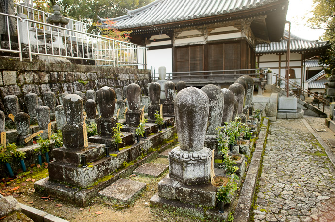 Grave Markers the oldest I noticed in this small bunch is from 1692 (元禄 5年) -- Konkaikomyou-ji Temple (金戒光明寺) -- Kyoto, Japan -- Copyright 2017 Jeffrey Friedl, http://regex.info/blog/ -- This photo is licensed to the public under the Creative Commons Attribution-NonCommercial 4.0 International License http://creativecommons.org/licenses/by-nc/4.0/ (non-commercial use is freely allowed if proper attribution is given, including a link back to this page on http://regex.info/ when used online)