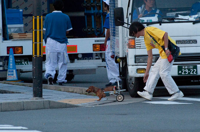 &mdash; map & image data &mdash; nearby photos Two-Wheeled Dog -- Kyoto, Japan -- Copyright 2008 Jeffrey Eric Francis Friedl, http://regex.info/blog/