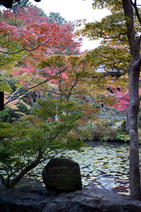 Someone's Garden -- Kyoto, Japan -- Copyright 2008 Jeffrey Friedl, http://regex.info/blog/