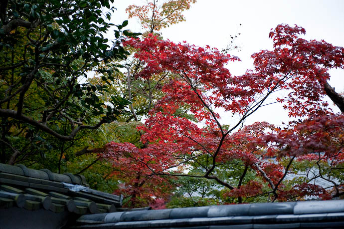 Kyoto, Japan -- Copyright 2008 Jeffrey Friedl, http://regex.info/blog/