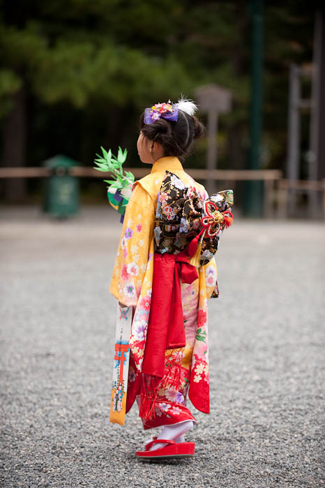 A Touch Overdone but nice colors  --  Kyoto, Japan  --  Copyright 2008 Jeffrey Friedl, http://regex.info/blog/