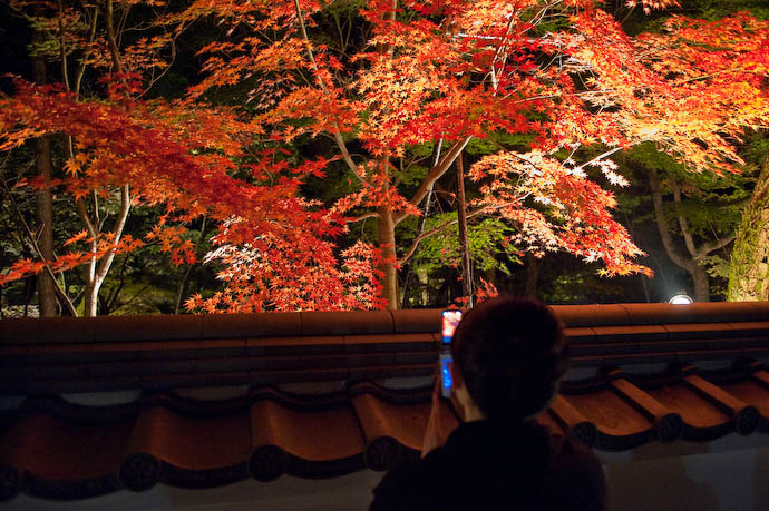 , f/2.8, ISO 6400 — map & image data — nearby photos  --  The Eikando Temple  --  Kyoto, Japan  --  Copyright 2008 Jeffrey Friedl, http://regex.info/blog/