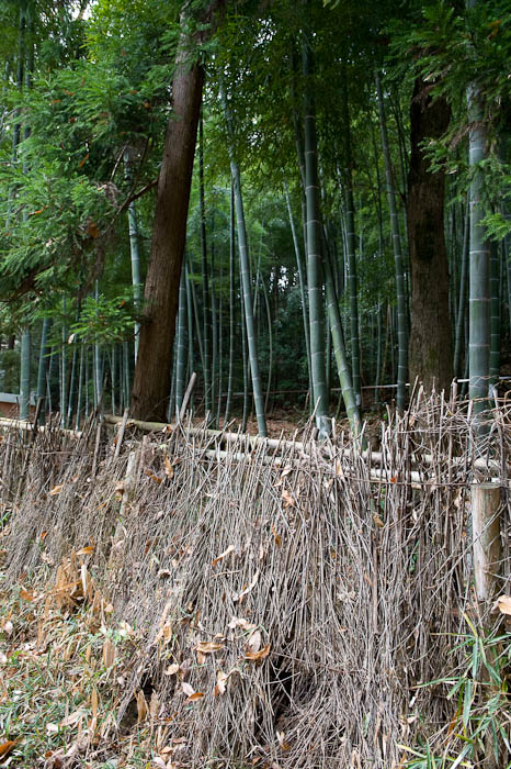 Fence Au Natural -- Kyoto, Japan -- Copyright 2008 Jeffrey Friedl, http://regex.info/blog/