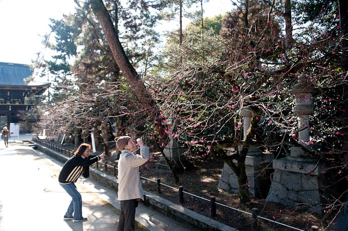 Others Were Too -- Kitano Tenmangu Shrine -- Kyoto, Japan -- Copyright 2009 Jeffrey Friedl, http://regex.info/blog/