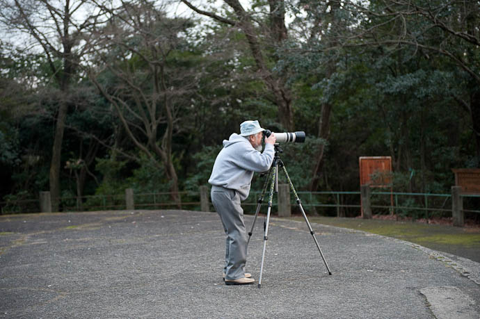 like me, Hoping for a Nice Sunset -- Shogunzuka -- Kyoto, Japan -- Copyright 2009 Jeffrey Friedl, http://regex.info/blog/