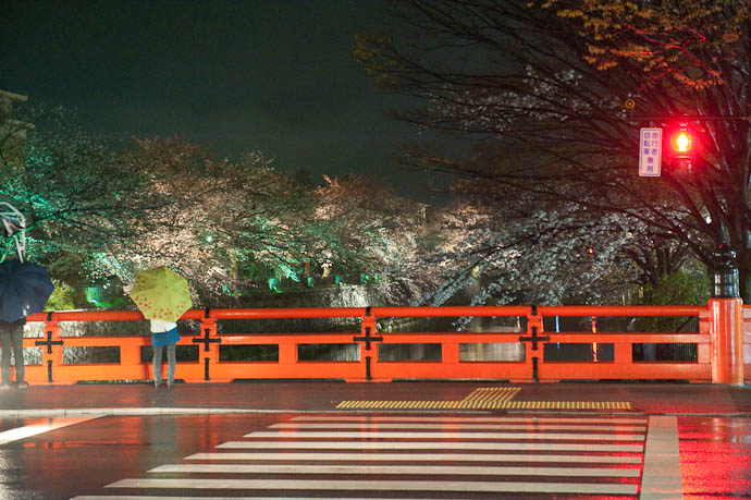 , f/4.5, ISO 6400 &mdash; map & image data &mdash; nearby photos Sorta' Pretty.... Sorta' -- Okazaki Cherry-Blossom Lightup -- Kyoto, Japan -- Copyright 2009 Jeffrey Friedl, http://regex.info/blog/