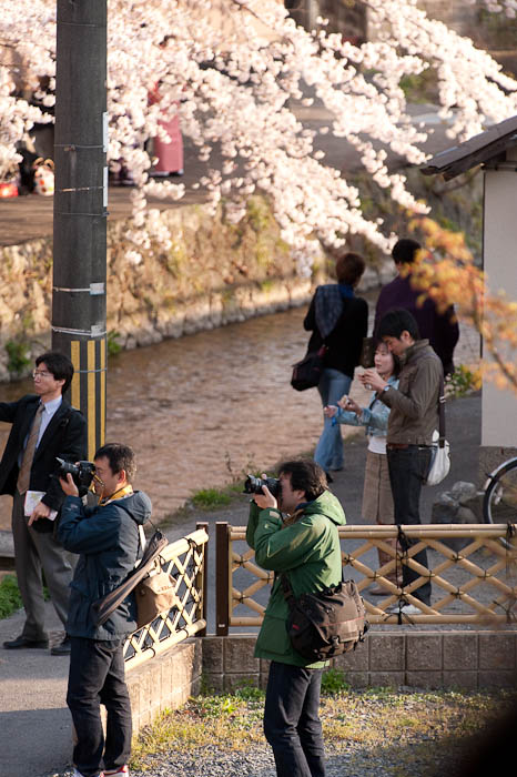 The Perfect Japan Picture -- Kyoto, Japan -- Copyright 2009 Jeffrey Friedl, http://regex.info/blog/