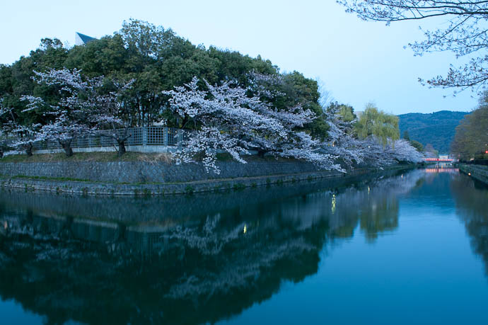, f/11, ISO 400 &mdash; map & image data &mdash; nearby photos 6:36pm 15 Minutes after Sunset -- Okazaki Cherry-Blossom Lightup -- Kyoto, Japan -- Copyright 2009 Jeffrey Friedl, http://regex.info/blog/