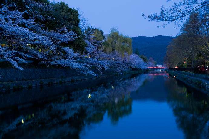 , f/10, ISO 400 &mdash; map & image data &mdash; nearby photos Five Minutes Later 6:41pm -- Okazaki Cherry-Blossom Lightup -- Kyoto, Japan -- Copyright 2009 Jeffrey Friedl, http://regex.info/blog/