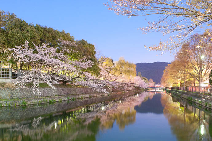 , f/9, ISO 1600 &mdash; map & image data &mdash; nearby photos Overexposed and Dramatic 6:57pm -- Okazaki Cherry-Blossom Lightup -- Kyoto, Japan -- Copyright 2009 Jeffrey Friedl, http://regex.info/blog/