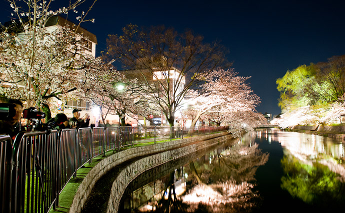 Other Direction was Pretty, Too but not as pretty -- Okazaki Cherry-Blossom Lightup -- Kyoto, Japan -- Copyright 2009 Jeffrey Friedl, http://regex.info/blog/