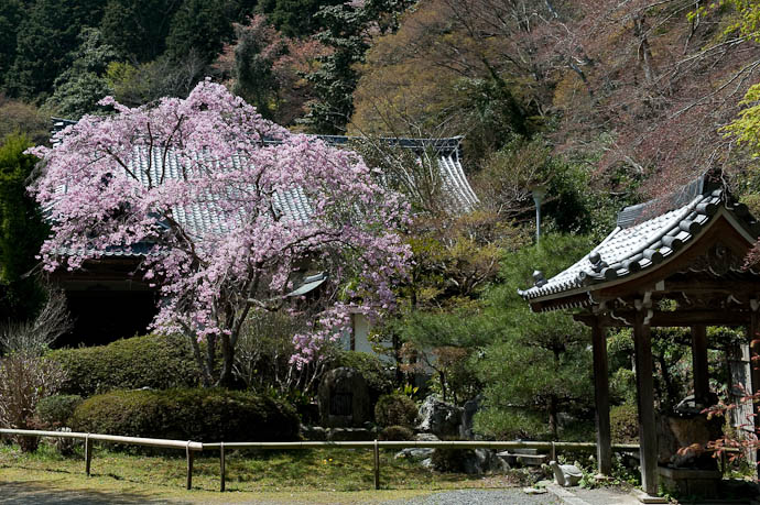 Tranquil -- Konzou Temple -- Kyoto, Japan -- Copyright 2009 Jeffrey Friedl, http://regex.info/blog/