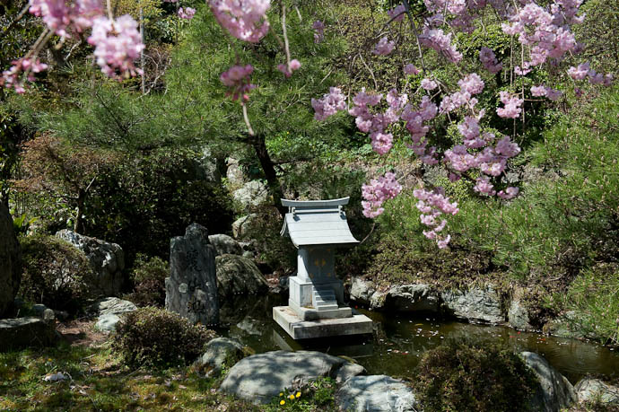 Small Water Feature -- Konzou Temple -- Kyoto, Japan -- Copyright 2009 Jeffrey Friedl, http://regex.info/blog/