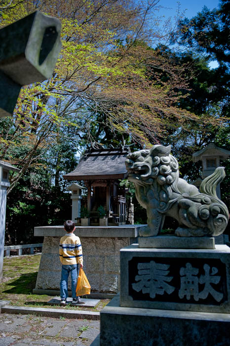 Konzou Temple -- Kyoto, Japan -- Copyright 2009 Jeffrey Friedl, http://regex.info/blog/