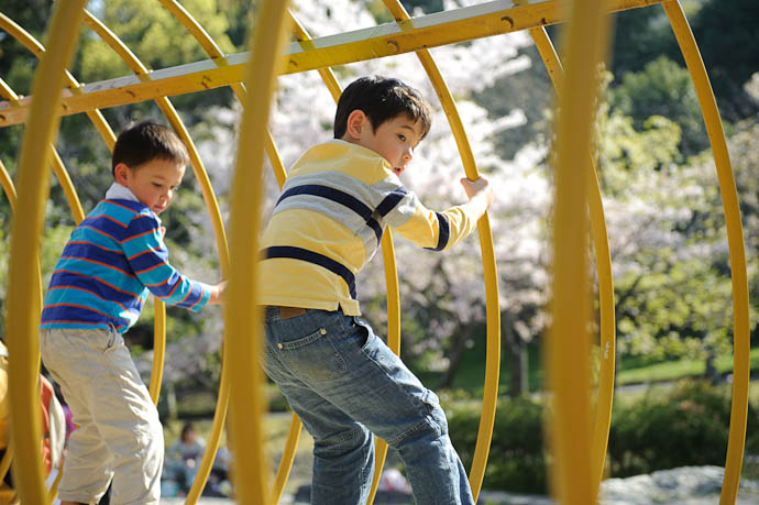 not sure where this leads, but Holding On For the Ride -- Ojigaoka Park -- Otsu, Shiga, Japan -- Copyright 2009 Jeffrey Friedl, http://regex.info/blog/