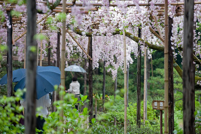 Rectangular Lattice -- Heian Shrine -- Kyoto, Japan -- Copyright 2009 Jeffrey Friedl, http://regex.info/blog/