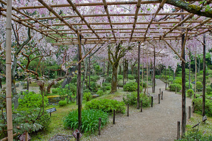 Less-Populated Lattice -- Heian Shrine -- Kyoto, Japan -- Copyright 2009 Jeffrey Friedl, http://regex.info/blog/