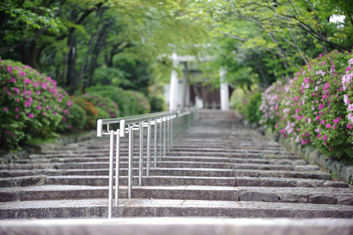 The Future enter here -- Kyoto, Japan -- Copyright 2009 Jeffrey Friedl, http://regex.info/blog/