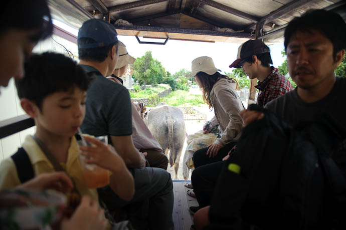 During Our Ride -- Taketomi Island, Okinawa, Japan -- Copyright 2009 Jeffrey Friedl, http://regex.info/blog/