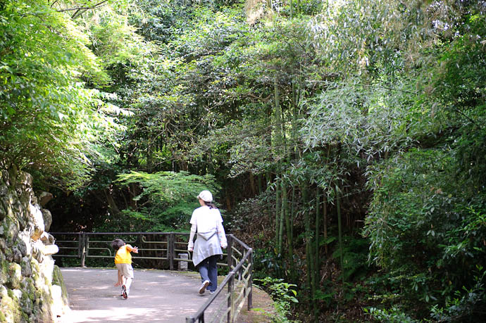 Halfway There Anthony makes the trip faster by flying -- Sanzen-in Temple -- Kyoto, Japan -- Copyright 2009 Jeffrey Friedl, http://regex.info/blog/