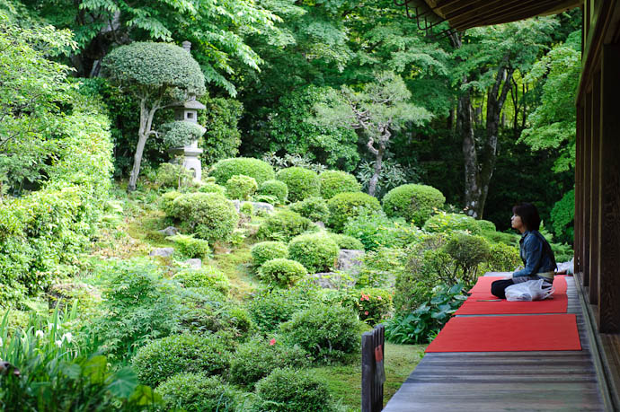 Contemplation -- Sanzen-in Temple -- Kyoto, Japan -- Copyright 2009 Jeffrey Friedl, http://regex.info/blog/