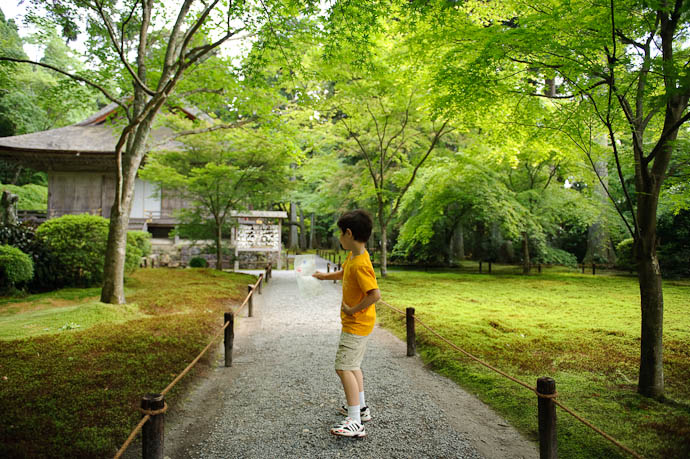 Kid Dancing a Happy Jig -- Sanzen-in Temple -- Kyoto, Japan -- Copyright 2009 Jeffrey Friedl, http://regex.info/blog/