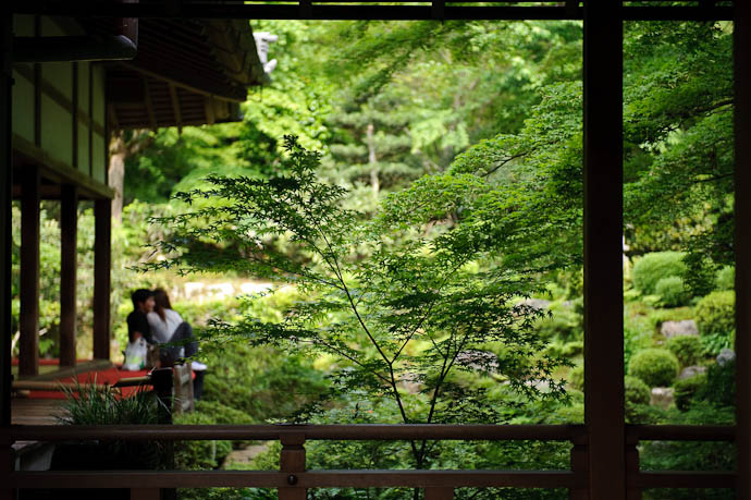 desktop background image of a serene view of the gardens at the Sanzen-in Temple (in the mountains north of Kyoto, Japan) -- Serenity Sanzen-in Temple, Kyoto Japan -- Sanzen-in Temple -- Copyright 2009 Jeffrey Friedl, http://regex.info/blog/