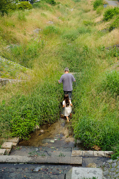 Into the Wilderness -- Ojigaoka Park -- Otsu, Shiga, Japan -- Copyright 2009 Jeffrey Friedl, http://regex.info/blog/