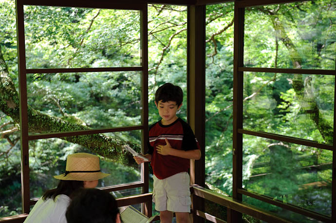 Anthony Sees Tea -- Toganojaya Restaurant -- Kyoto, Japan -- Copyright 2009 Jeffrey Friedl, http://regex.info/blog/