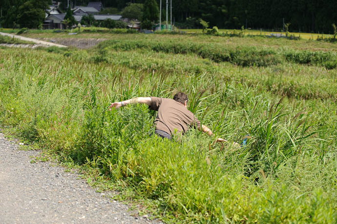 Daddy Feels Stupid, Attempts Retrieval -- Kyoto, Japan -- Copyright 2009 Fumie, http://regex.info/blog/