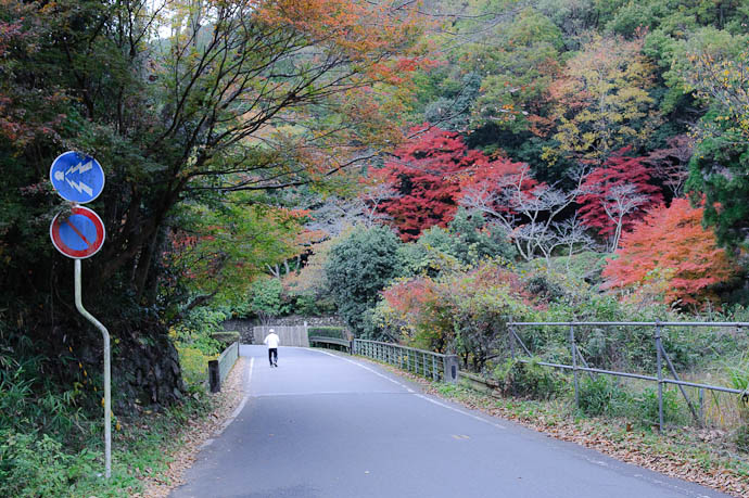 Vehicles Must Sound Horn ( but, thankfully, drivers rarely do ) -- Near the Hakuryuuen Gardens -- Kyoto, Japan -- Copyright 2009 Jeffrey Friedl, http://regex.info/blog/