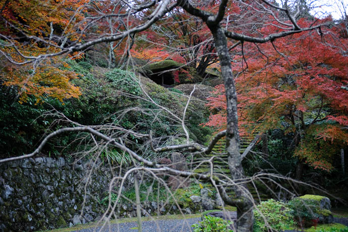 From the Middle of the Fence trying to get artsy fartsy with the bare tree in the foreground, but it doesn't really work -- Near the Hakuryuuen Gardens -- Kyoto, Japan -- Copyright 2009 Jeffrey Friedl, http://regex.info/blog/
