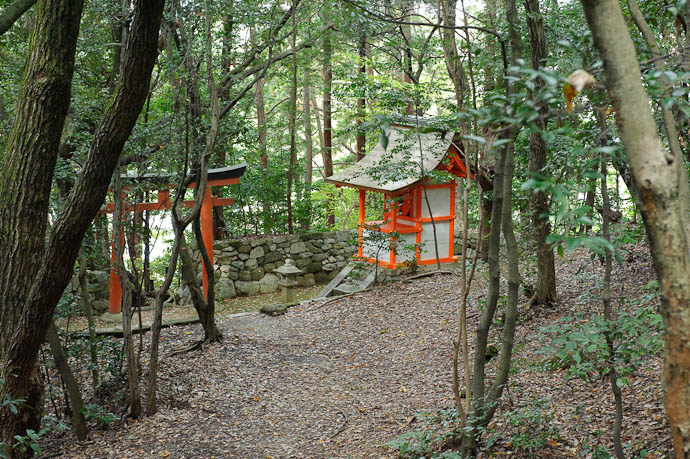 Out of Nowhere -- Yoshida Shrine -- Kyoto, Japan -- Copyright 2009 Jeffrey Friedl, http://regex.info/blog/