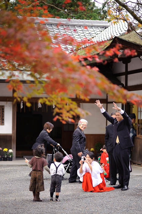 No, Look This Way -- Yoshida Shrine -- Kyoto, Japan -- Copyright 2009 Jeffrey Friedl, http://regex.info/blog/