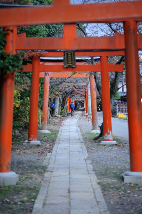 Walking the Dog at the Takenaka Inari Shrine, Mt. Yoshida -- Takenaka Inari Shrine (Mt. Yoshida) -- Kyoto, Japan -- Copyright 2009 Jeffrey Friedl, http://regex.info/blog/